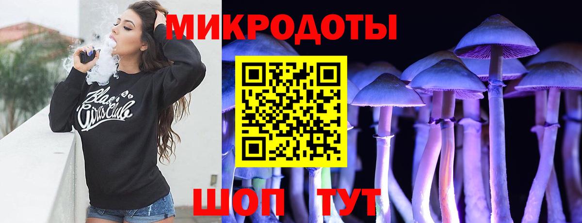 Галлюциногенные грибы Psilocybe Кубинка